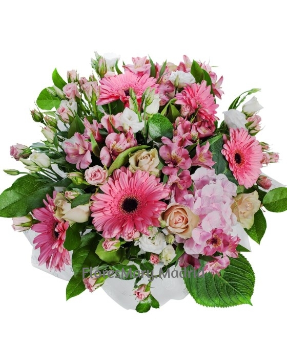 Bouquet Flores Roma Envios Florales Urgentes Comprar Flores