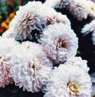 Centro Lágrima tonos Blancos, Enviar Flores Blancas al Tanatorio, Flores para Difuntos, Floristería en Madrid, Comprar Flores Online